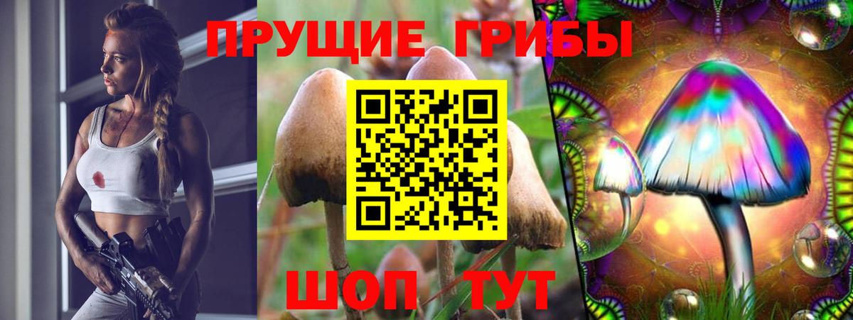 где продают наркотики  Галлюциногенные грибы мухоморы  Вход с VPN  Усть-Джегута 